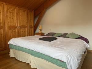 Chalet lOrme Châtel Réservation