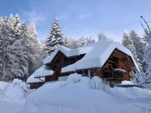 Ferienwohnung Waldhauser
