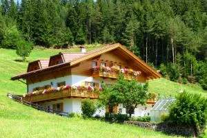 Bergblick App Lärche - فونيس