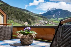 Bergblick App Lärche