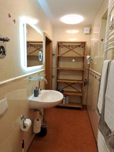 Froschkönig mit Teichblick