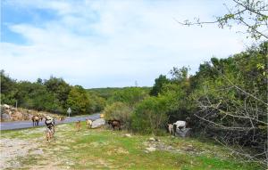 Maisons de vacances Beautiful home in Chauzon with 2 Bedrooms : photos des chambres