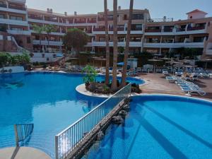 Ocean Breeze Albatros