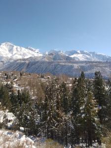 Cabaña potrerillos La Tabaida