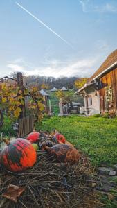 Saschiz 130Lodging and Glamping