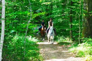 LE PETIT RANCH DU CLOS DE LA CHEVAUCHÉE
