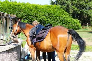 LE PETIT RANCH DU CLOS DE LA CHEVAUCHÉE