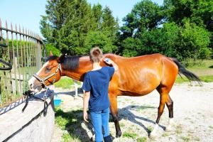 LE PETIT RANCH DU CLOS DE LA CHEVAUCHÉE