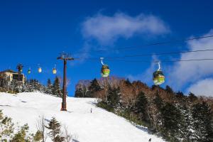 Shiga Kogen Olympic Hotel