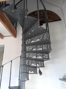 Pucówka na skraju Puszczy Białowieskiej