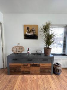 t Zwanennest Egmond aan Zee