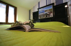 Il Turista a Pedali img19