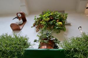 Il Turista a Pedali img38