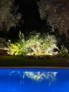 Villas La Dolce Villa 11 persones Private Pool beautiful Landscaped Garden : photos des chambres