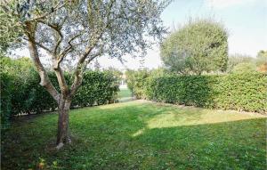 Nice Apartment In Aprilia Marittima