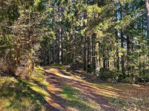 5 person holiday home in Fjärås-By Traum