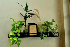 Beautiful 5 Story Family House