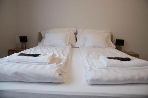 Molnar Apartment Cozy City Center Retreat for 2 AC & Perfect Location!