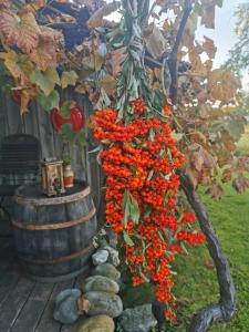 Gemütlichkeit am Vierkanthof - Apartment 2