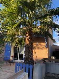 De la Clape à la mer mon petit pavillon labellisé - f2- piscine commune - wifi gratuit- parking privé - arrivee autonome - 800 m plage - grande terrasse abritée vent -