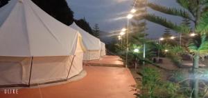 เฟรนด์แคมป์เต็นญกระโจม