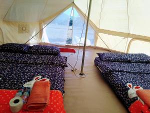 เฟรนด์แคมป์เต็นญกระโจม