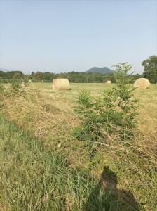le repos du voyageur