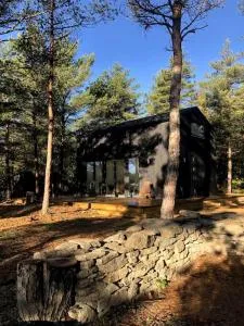 Forest House, Tiidu - Eiste