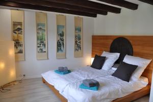 Maisons de vacances Villa sous le Tilleul : photos des chambres