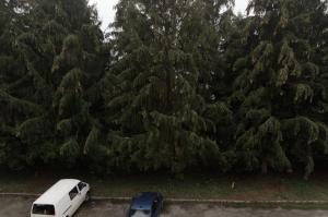 Kovács apartman Harkány