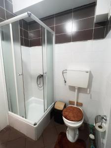 Apartman Lavanda Banja Koviljaca