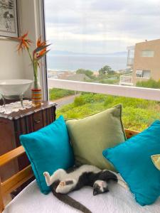 Two Oceans Artists Home.