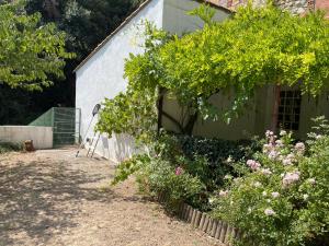 Maisons de vacances L'Ancienne Raffinerie de Tabac : photos des chambres