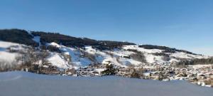 Lune DArgent Appartement avec vue sur la montagne