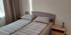 Pelguranna Apartment