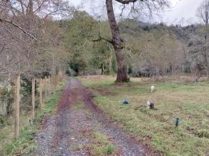 Cabaña a orilla del río Liucura