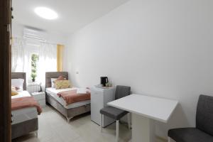 AVIATOR Apartments & Rooms Nikola Tesla Airport Belgrade