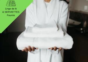 Grand T2 Jardin Wifi Parking Proche Gare