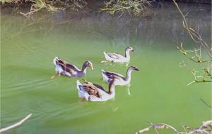 Lovely Home In Vaudoy-En-Brie With Wifi