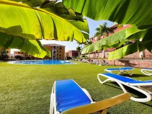 Beautiful 1 bedroom apartment in Palm Mar, PM101 - Palm-Mar