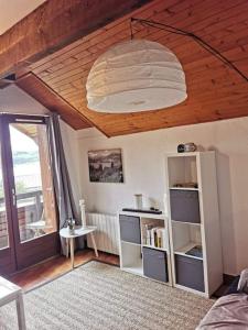 Appartements Duplex cocooning avec vue lac et montagnes : photos des chambres