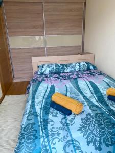 Apartmani Dragišić kalman D5