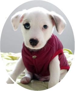 Hostel Home Trotamundos