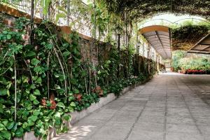 Trang Thanh Luxury Apartment