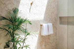 Botanique Villa & Studio