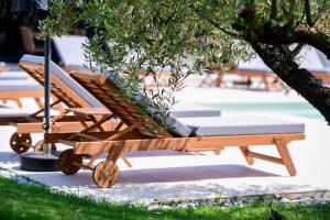 Elies Aesthetic Living