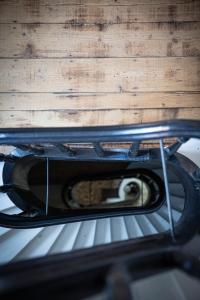 Sejours chez l'habitant Maison du jardin botanique : photos des chambres