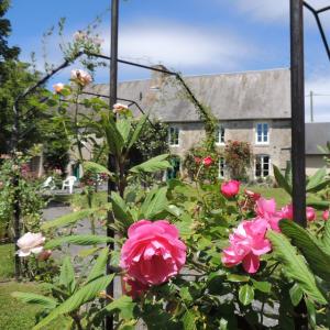 Maisons de vacances Gites Les Pieris : photos des chambres