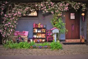 Maison Jeanny, full house with big garden - Frasnes-lez-Anvaing