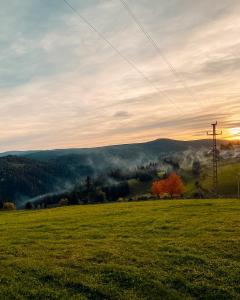 Pensiunea agro-turistica Maris